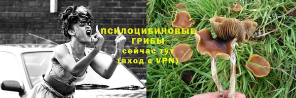 экстази Касимов