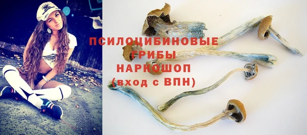 метадон Карпинск